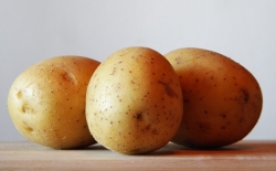 Bild: kartoffelbluete.jpg