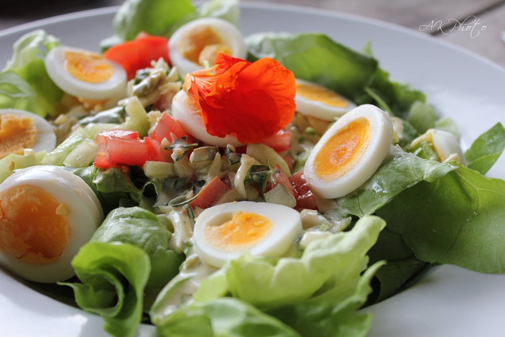 Gemischter Salat Mit Ei — Rezepte Suchen